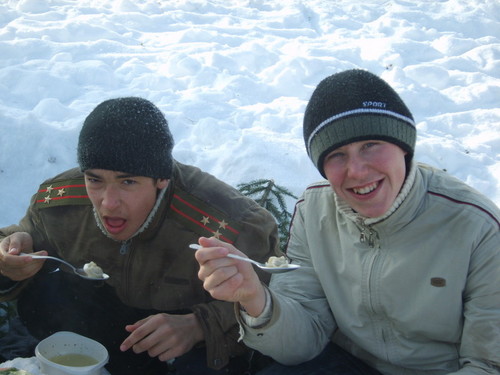 зарничники