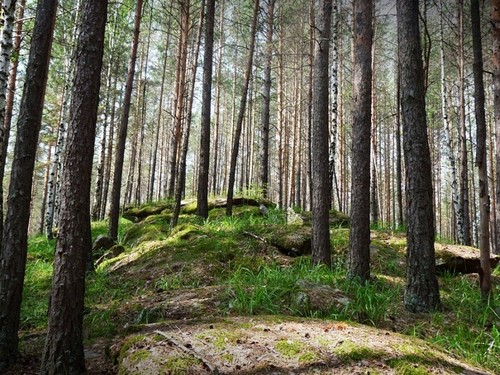 Камни
