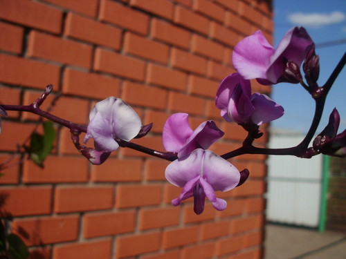 красиво