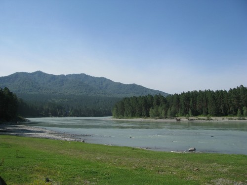 природа Алтая