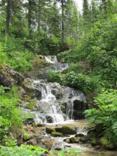 Горная река