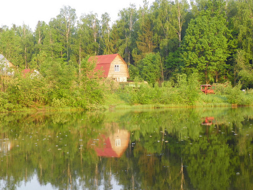 домик лесника