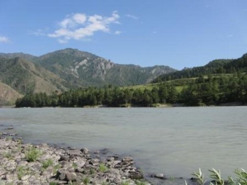 Куюз, река Катунь