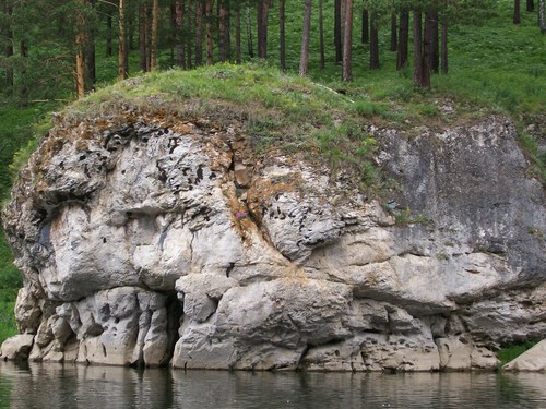 Окаменевший пёс