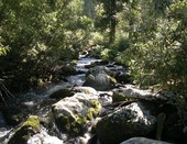 РљР°РјРµРЅРЅР°СЏ СЂРµРєР°