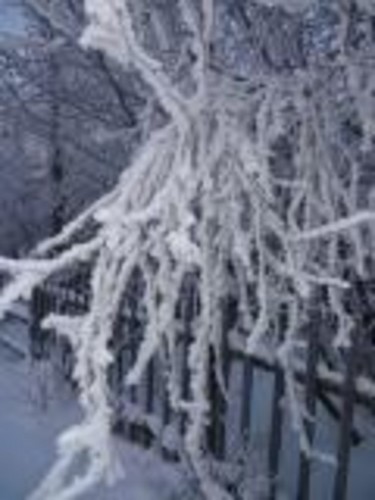 Зимняя красота