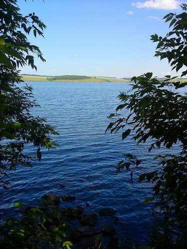 В тишине