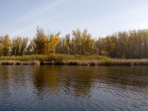 У реки
