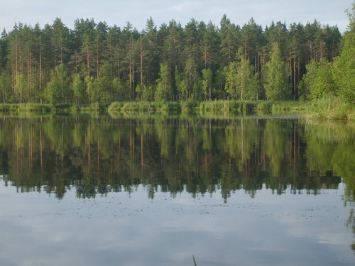 У входа в зазеркалье.