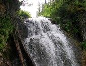 Лесной водопад