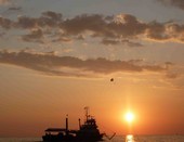 Волшебные цвета Черного моря