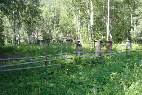 Пасека