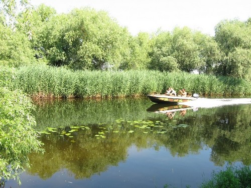 На рыбалке