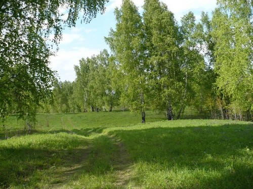 Летней день
