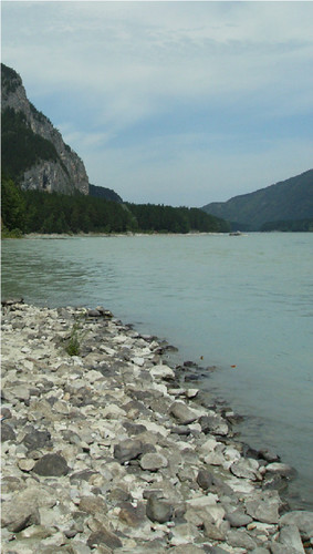 Берег Катуни