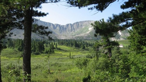 Золотая долина