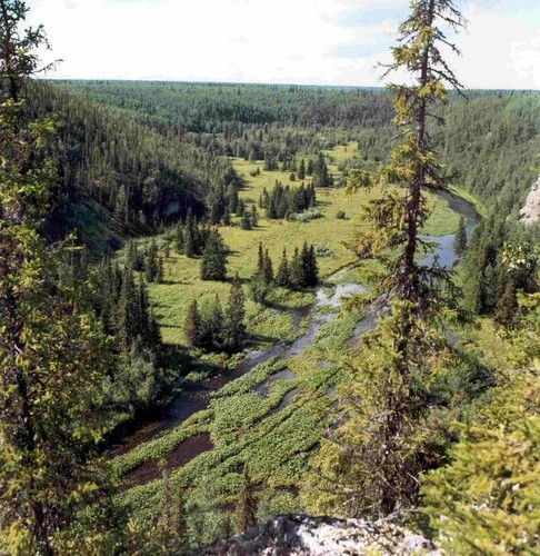 на Севере