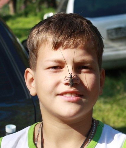 Тараканище