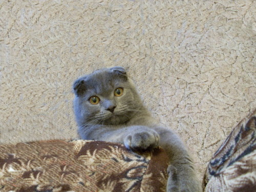 А мы раньше не встречались?