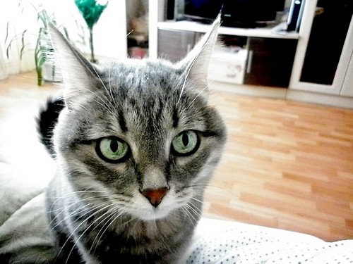 Клеопатра