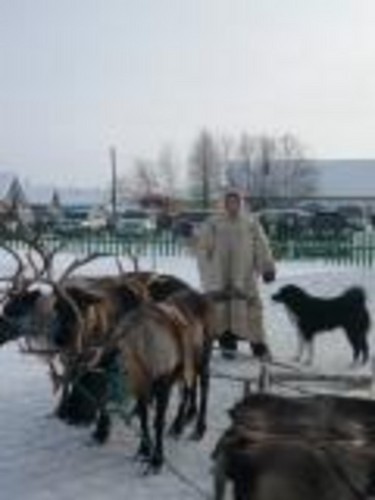 Верный транспорт на Севере