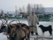 Верный транспорт на Севере