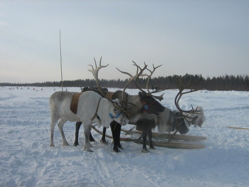 Передышка