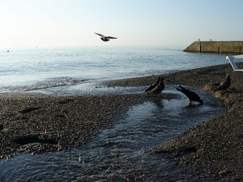 Утро на море