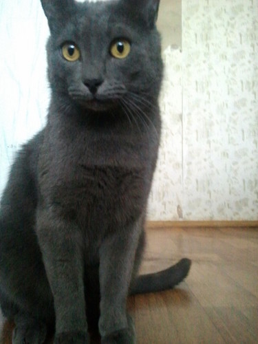 Василий
