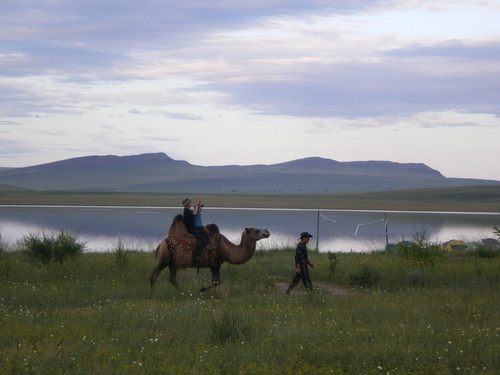 летняя прогулка