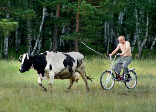 Пастух
