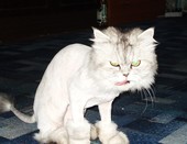 Злюка.