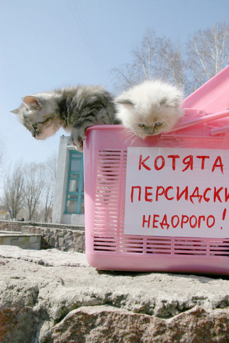 Побег
