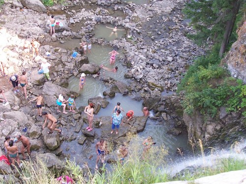 Любители "водных процедур"