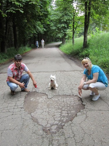 Сердечко
