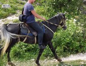 На лошади...