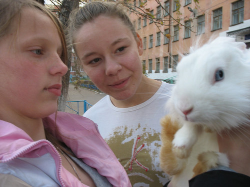 Любопытство