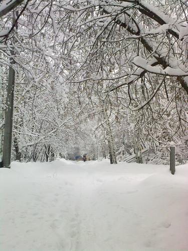 всё в снегу