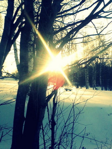 Winter