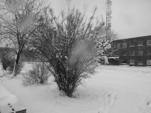 Снежные капли.