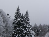 Лаго - Наки