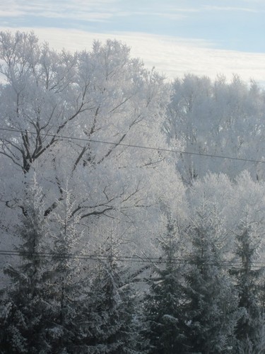 зимние красоты