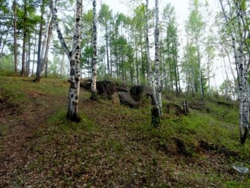 Первая травка