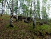 Первая травка