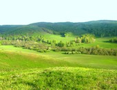priroda