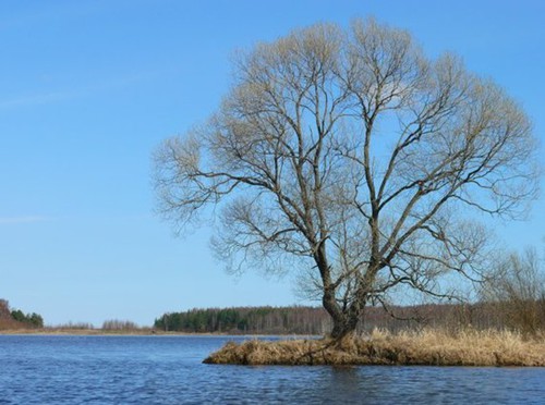 р. Ильдь, Некоузский район, Ярославская область