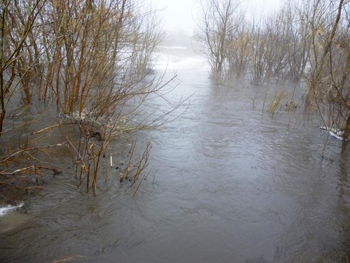 Вешние воды