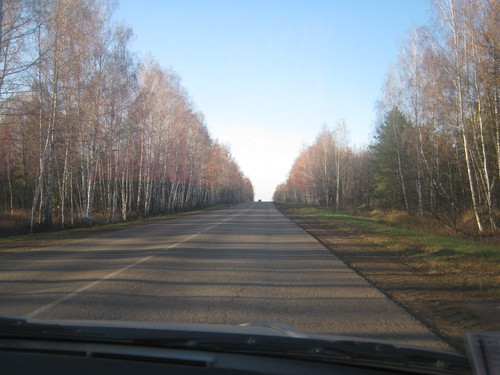 Осенний лес