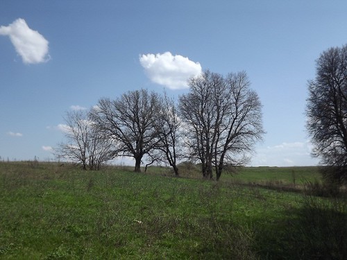 тишина
