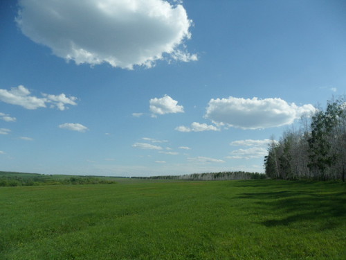 Поле